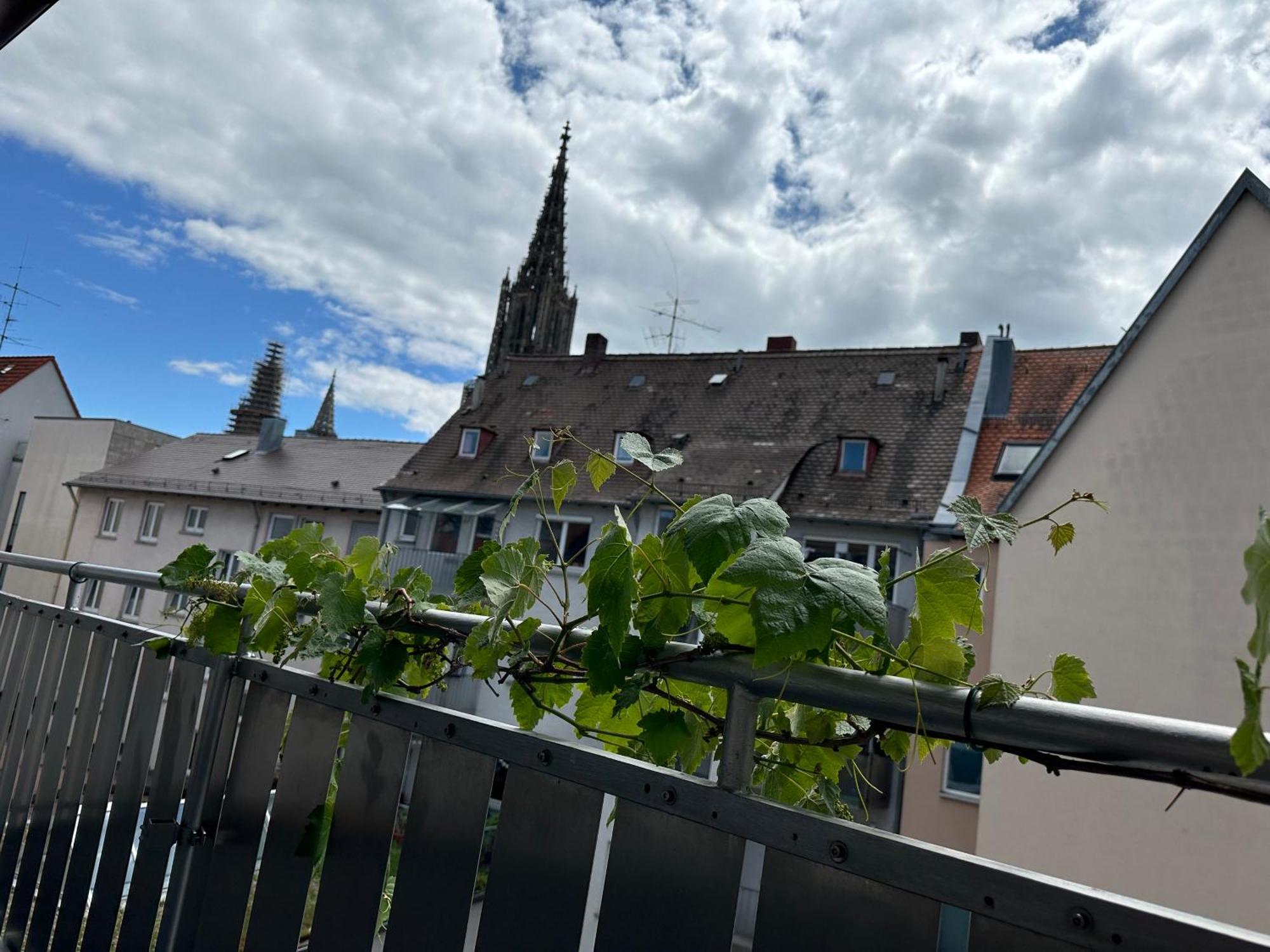 Apartment11 Ulm Exterior foto