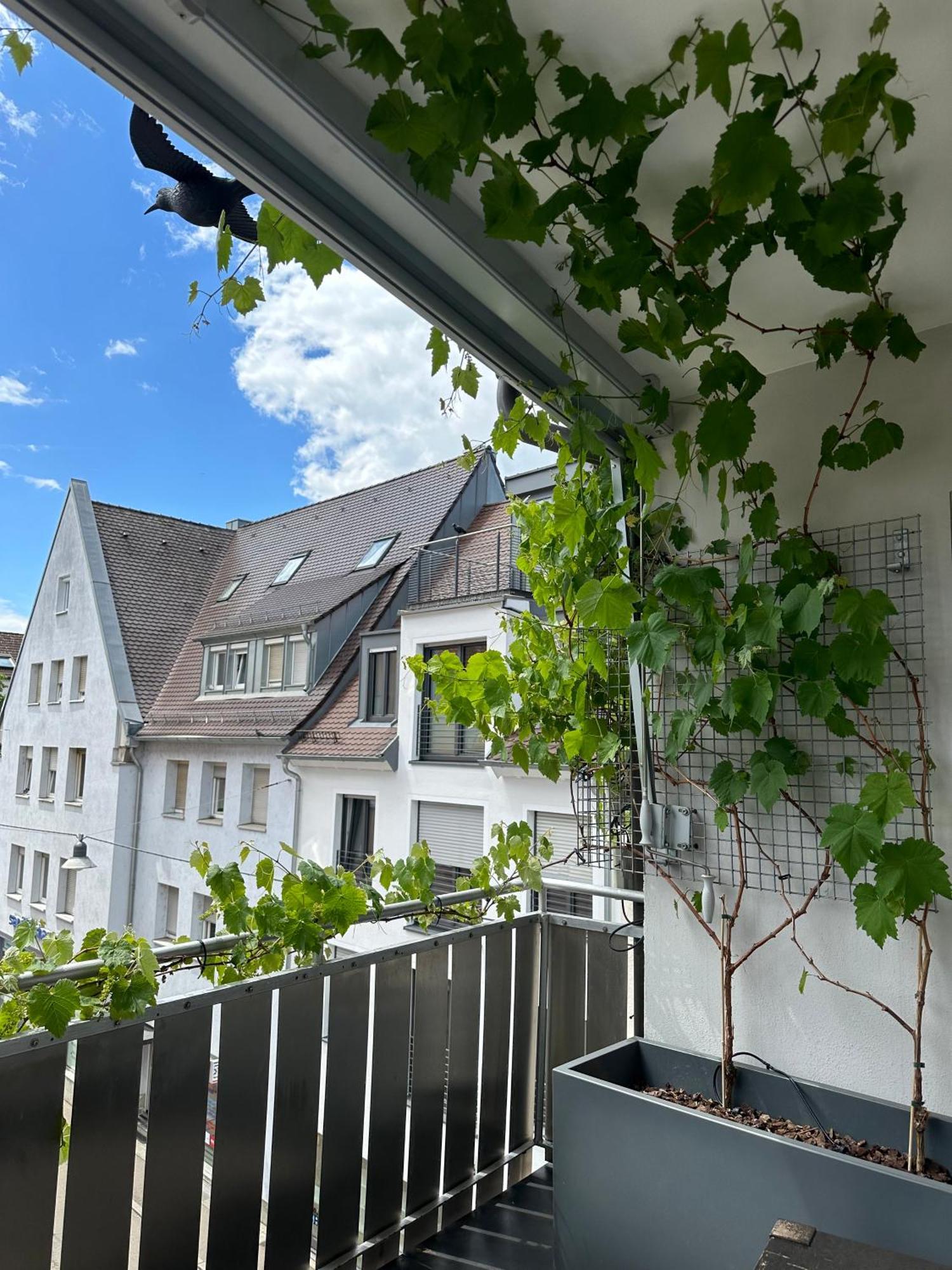 Apartment11 Ulm Exterior foto